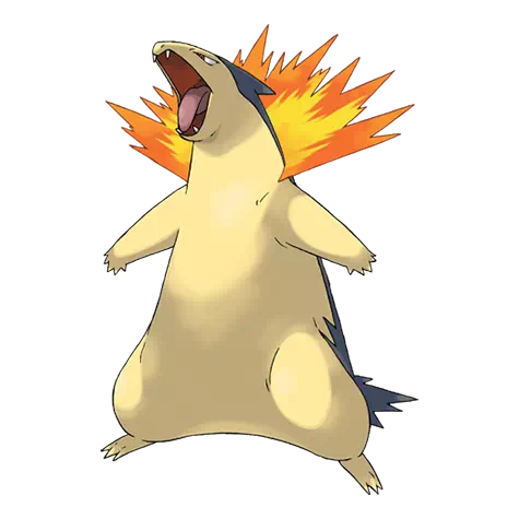 image de Typhlosion