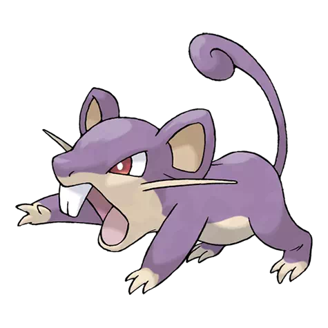 image de Rattata