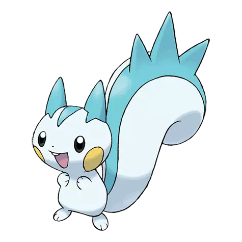 image de Pachirisu