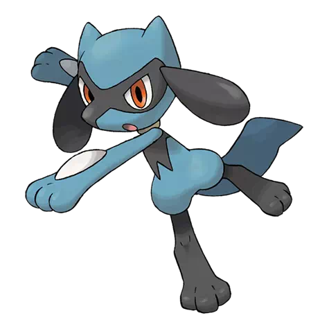 image de Riolu