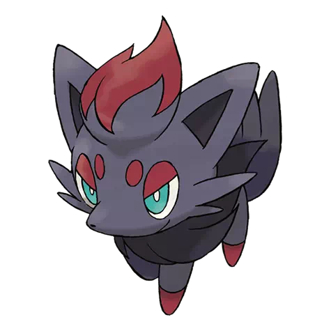 image de Zorua