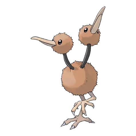 image de Doduo