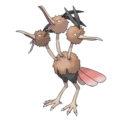 image de Dodrio